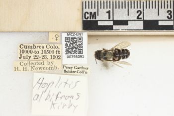 Media type: image;   Entomology 793091 Aspect: Labels